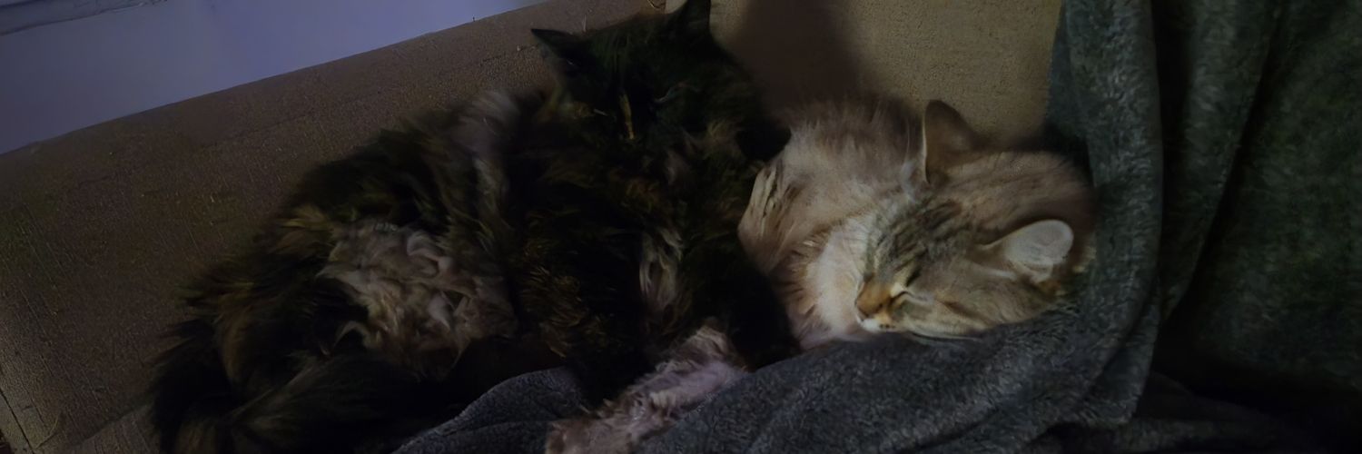 Read Ordeal on Webtoons banner