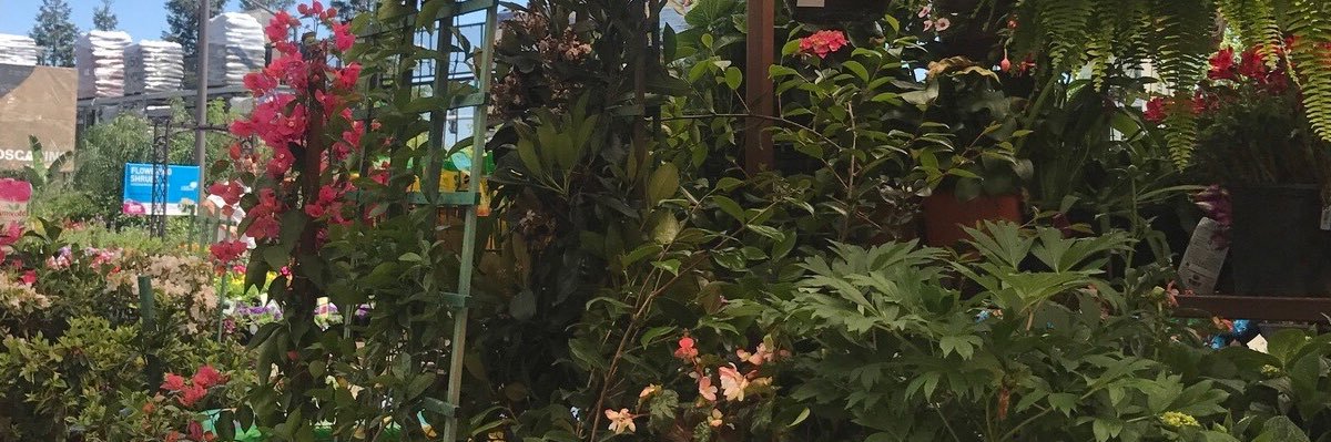 PaigeMBarr's profile banner image