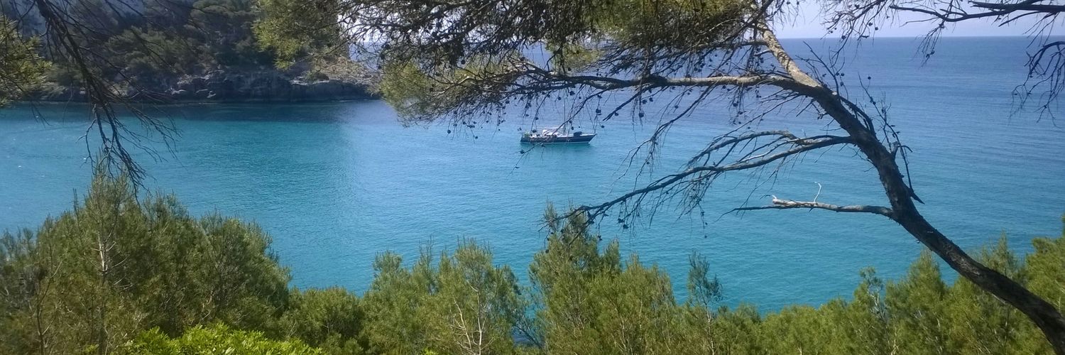 ioiomenorca's profile banner image
