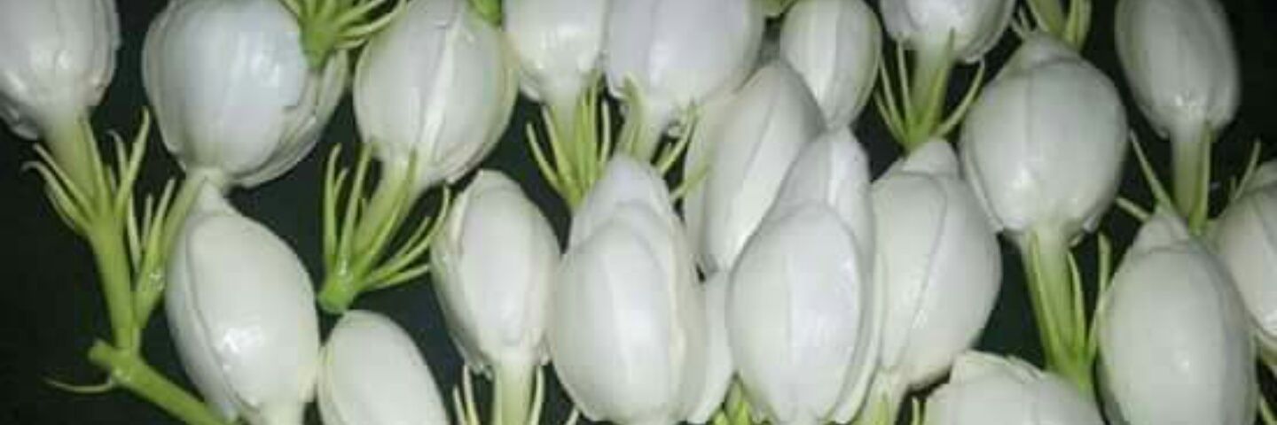mosa4808's profile banner image