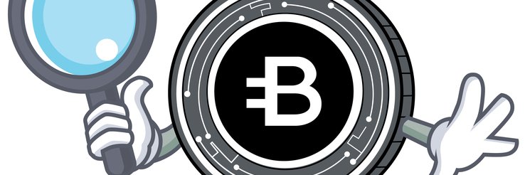 Crypt0pinion's profile banner image