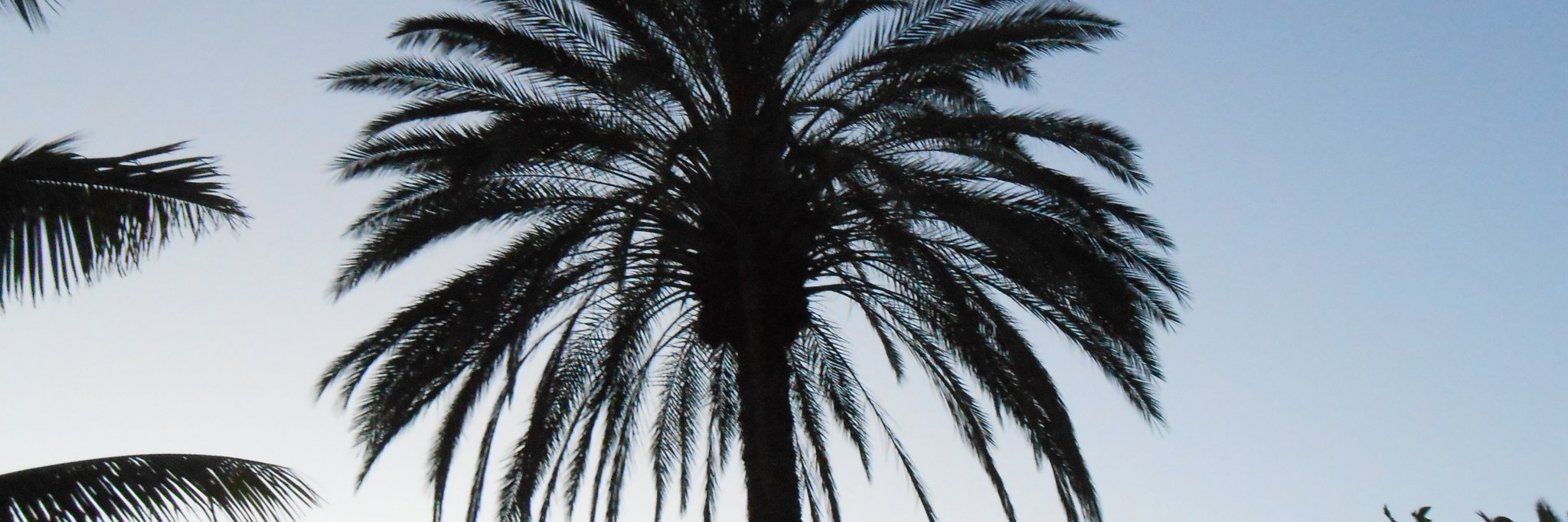 wouterwesseling's profile banner image