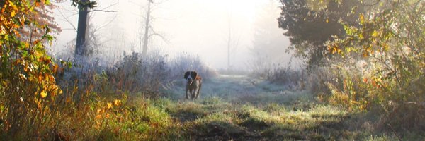 Folk2FolkUK Profile Banner