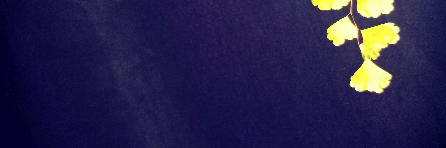 Faderchoco's profile banner image