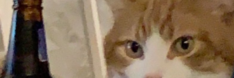 TLeD13's profile banner image