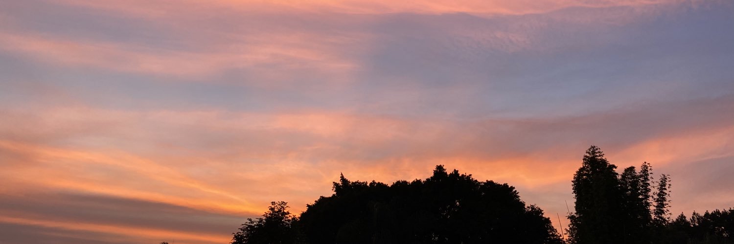 AnaaPao_Al's profile banner image