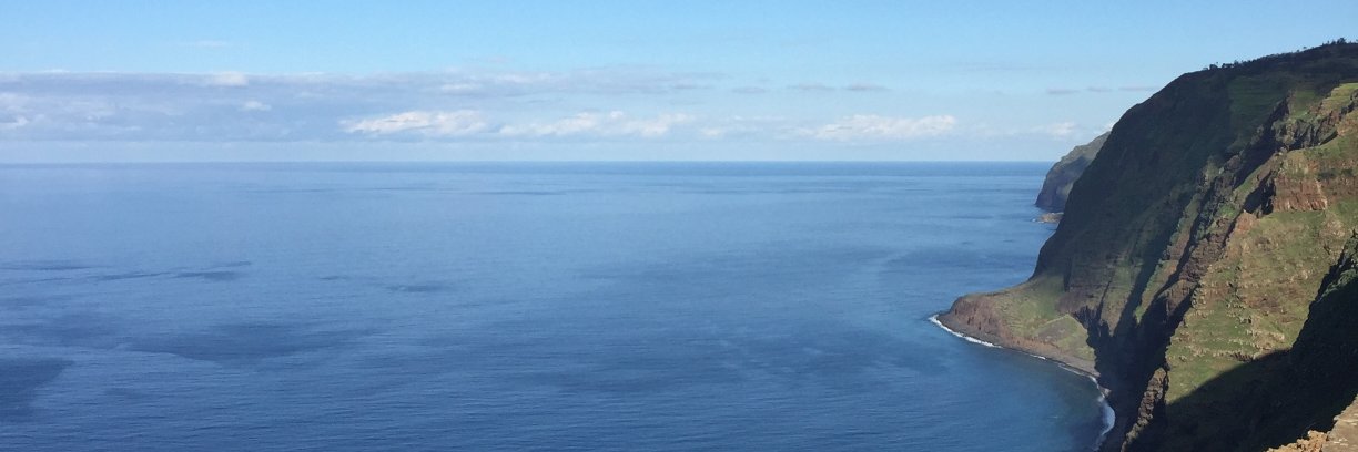 sectore's profile banner image