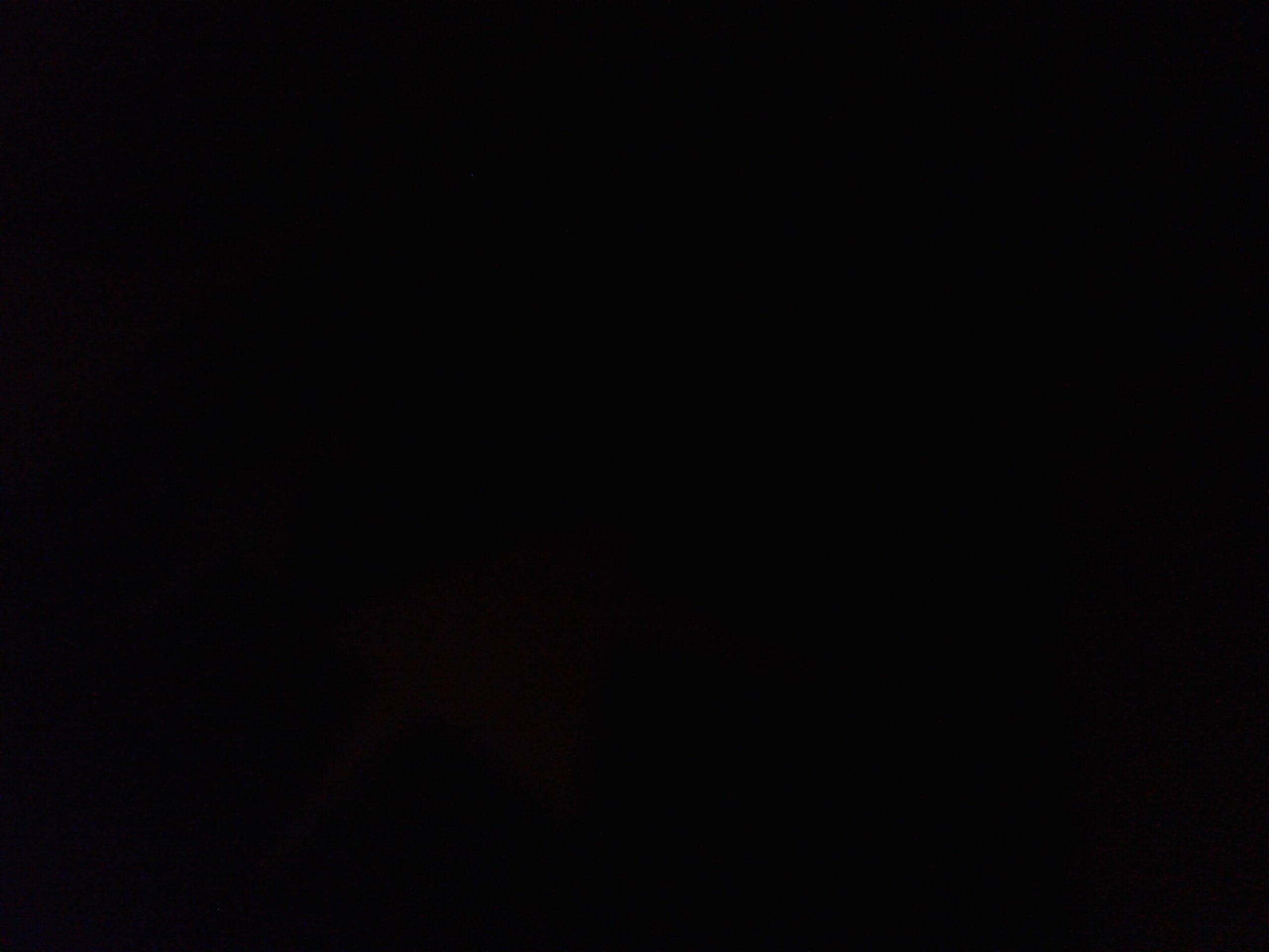 vittamins's profile banner image