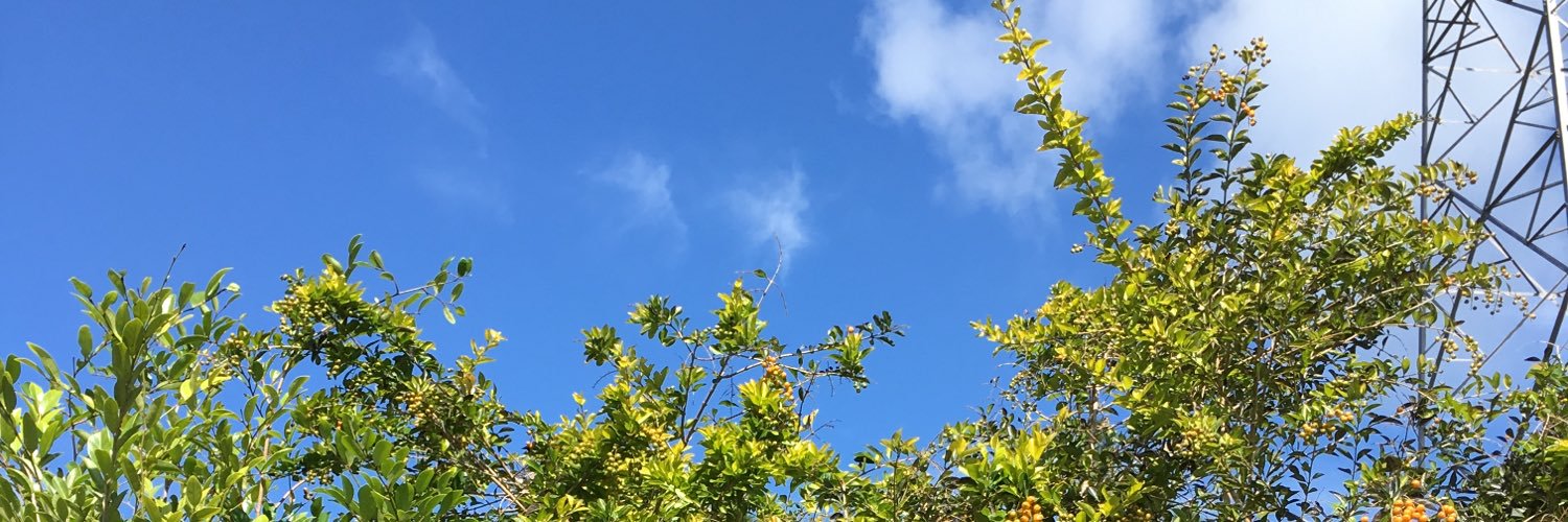 utapowa's profile banner image