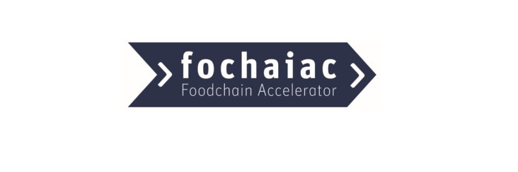 fochaiac's profile banner image
