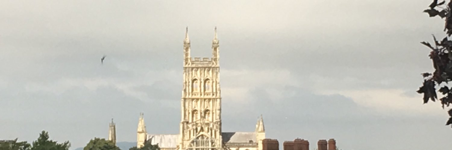 D&S Division Gloucestershire Hospitals banner