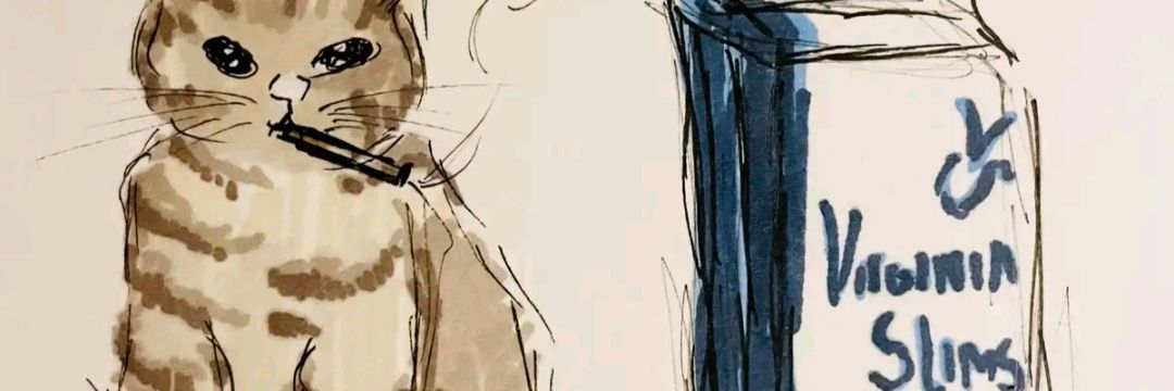Dappercato banner