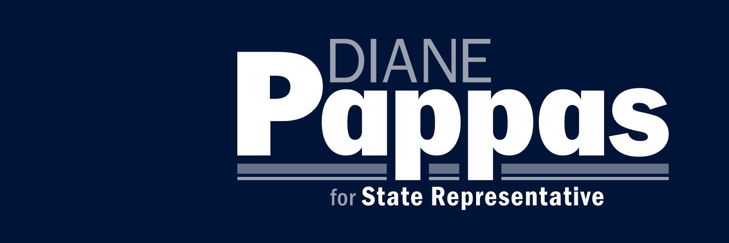 Elect Diane Pappas banner