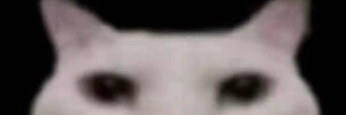 yzndaye's profile banner image