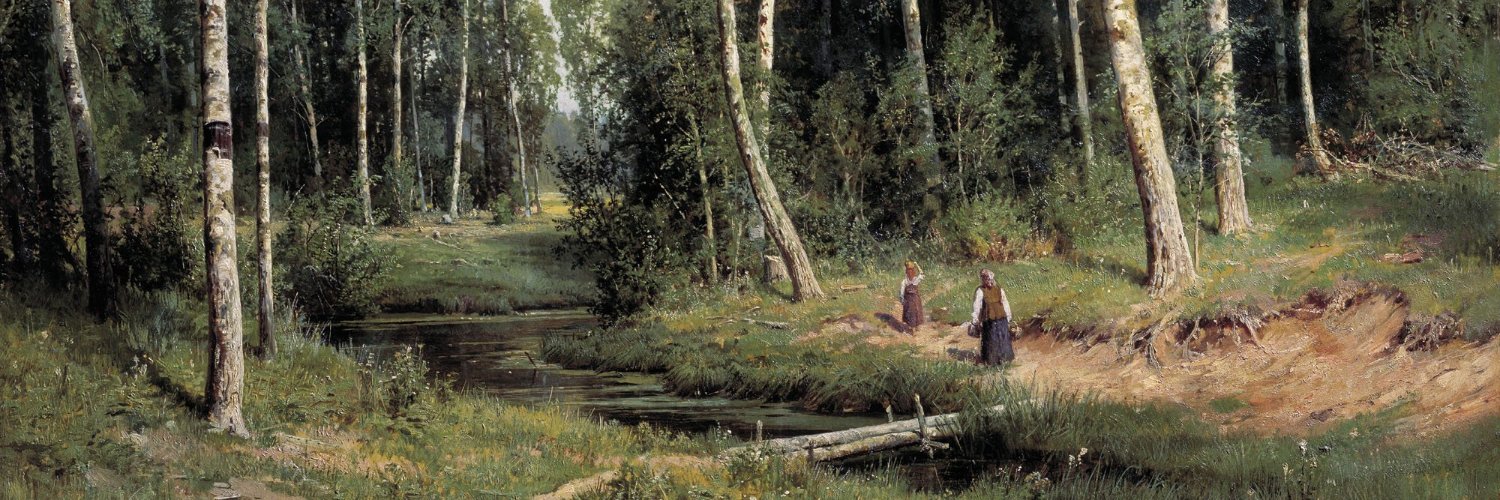 Rob Donderpik 🇳🇱 banner