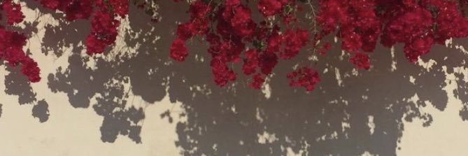 aioosh_s's profile banner image