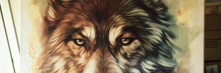 Kaskarmo's profile banner image