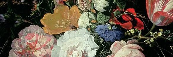 t7missu's profile banner image