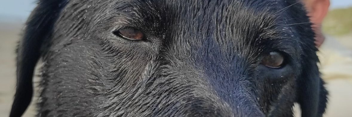 lea16072's profile banner image