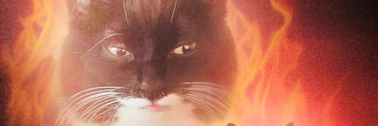 adriananoes's profile banner image