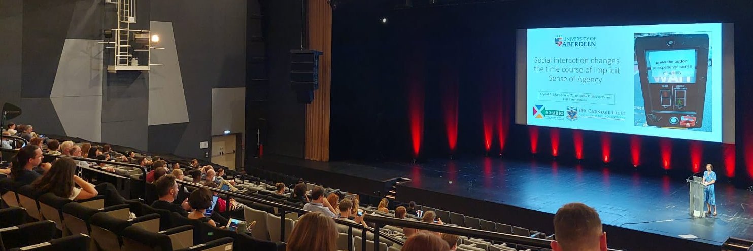 Crystal Silver banner