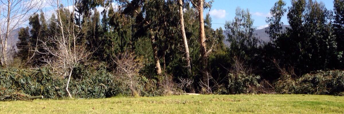 todojolevera's profile banner image