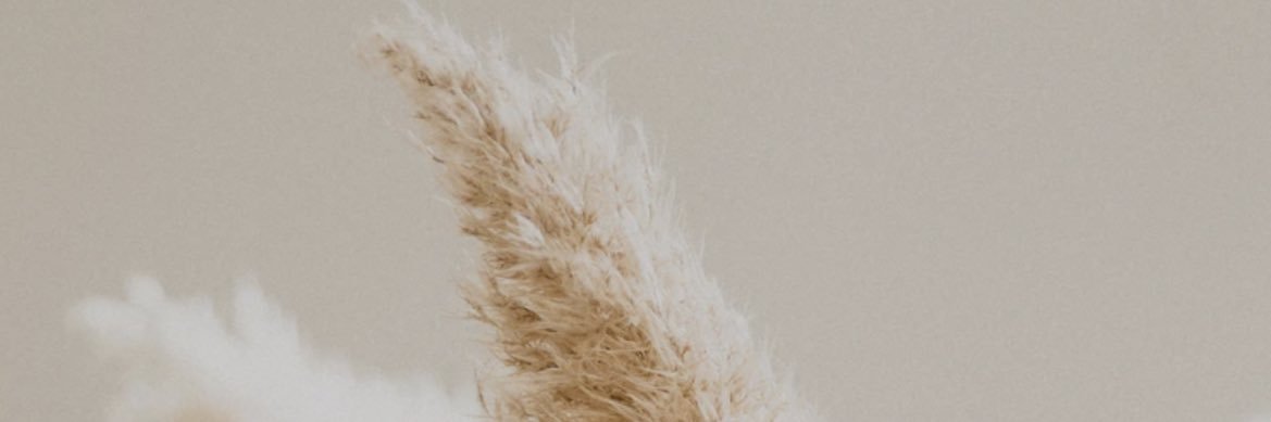 ThalineSantos's profile banner image