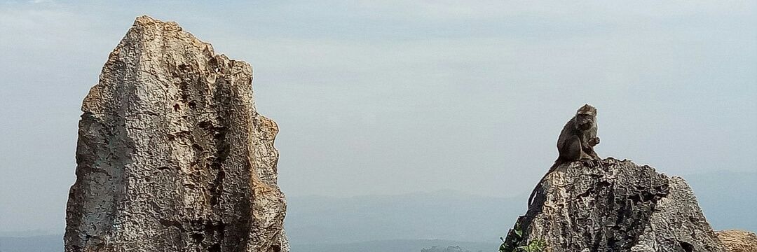 adnanyow__'s profile banner image
