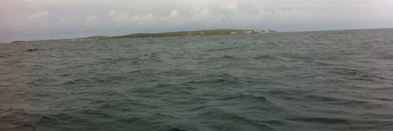 Tom A McDonnell banner