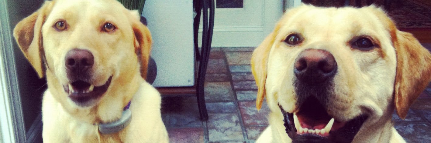 FF Draft Scott ⭐️⭐️ banner