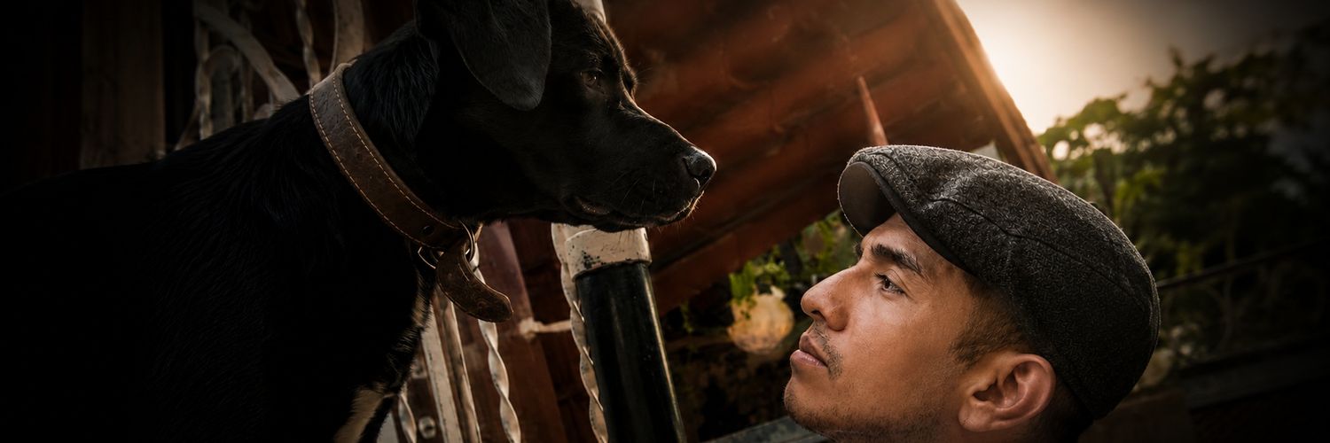 Alejandro_TV's profile banner image