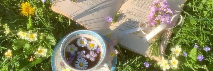 meldeluca__'s profile banner image