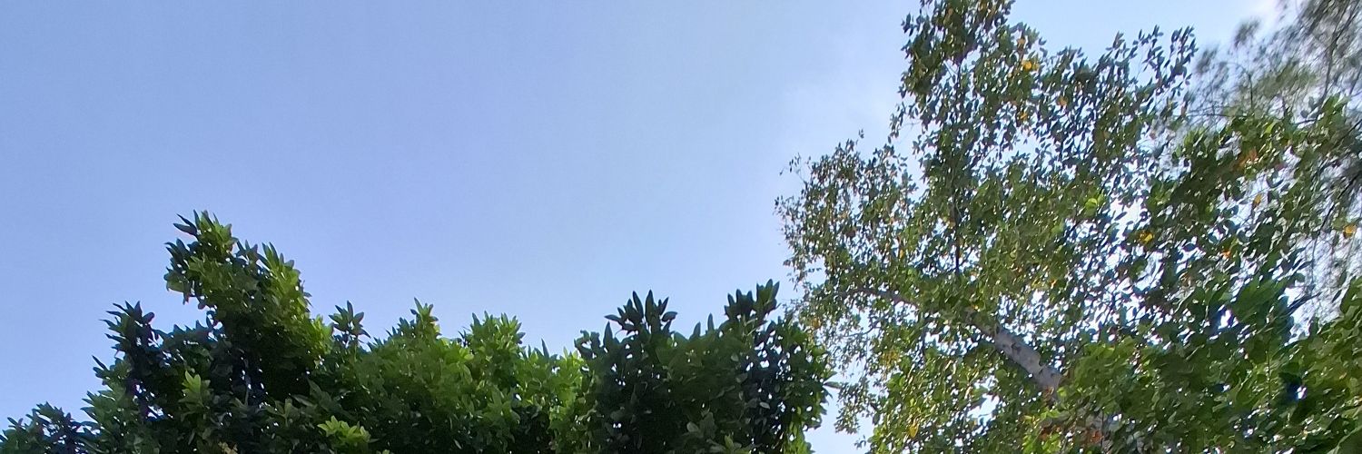 dws_22's profile banner image