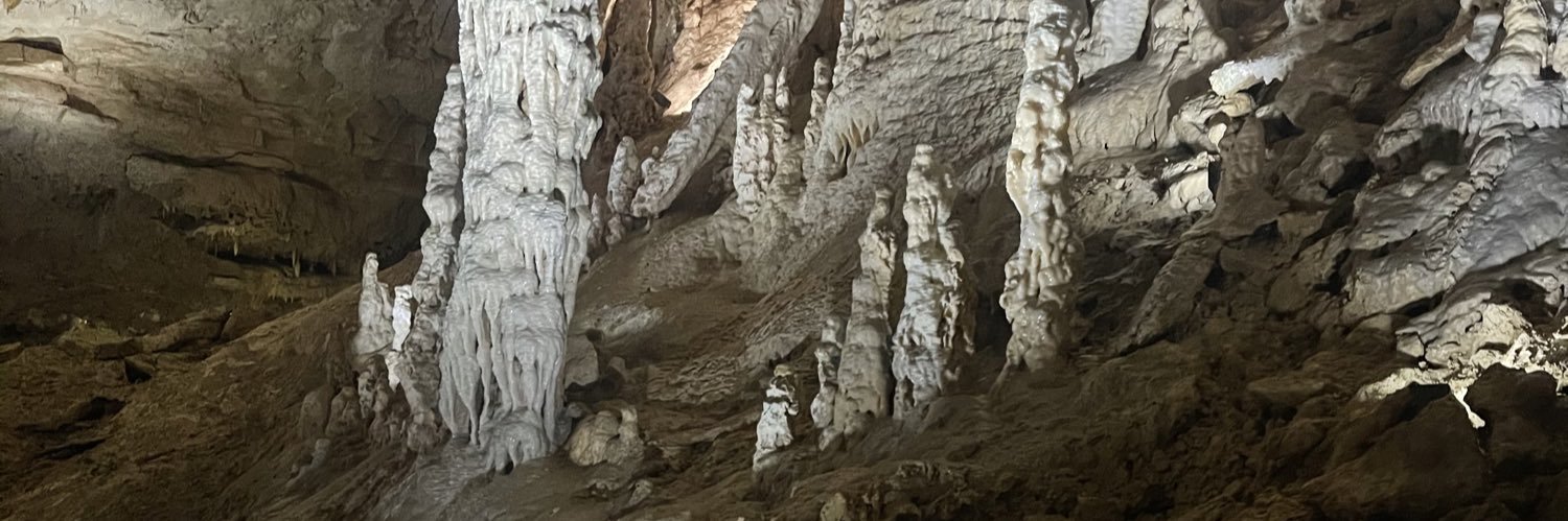 D’Kendrick Williams, Ed.D banner