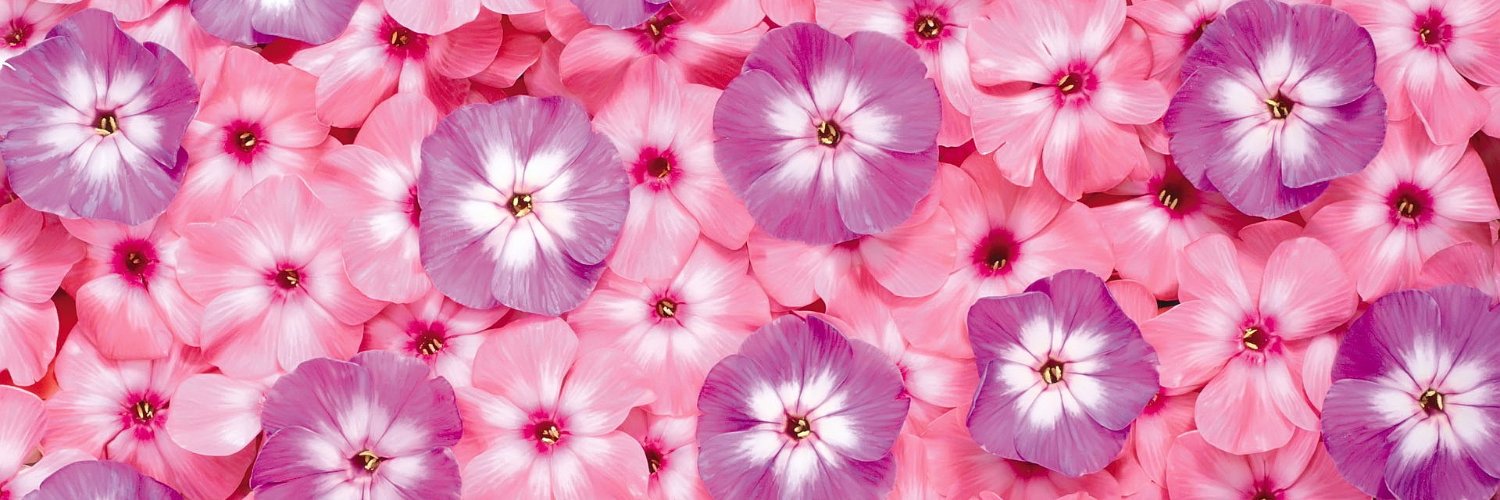 Jane_ciao's profile banner image