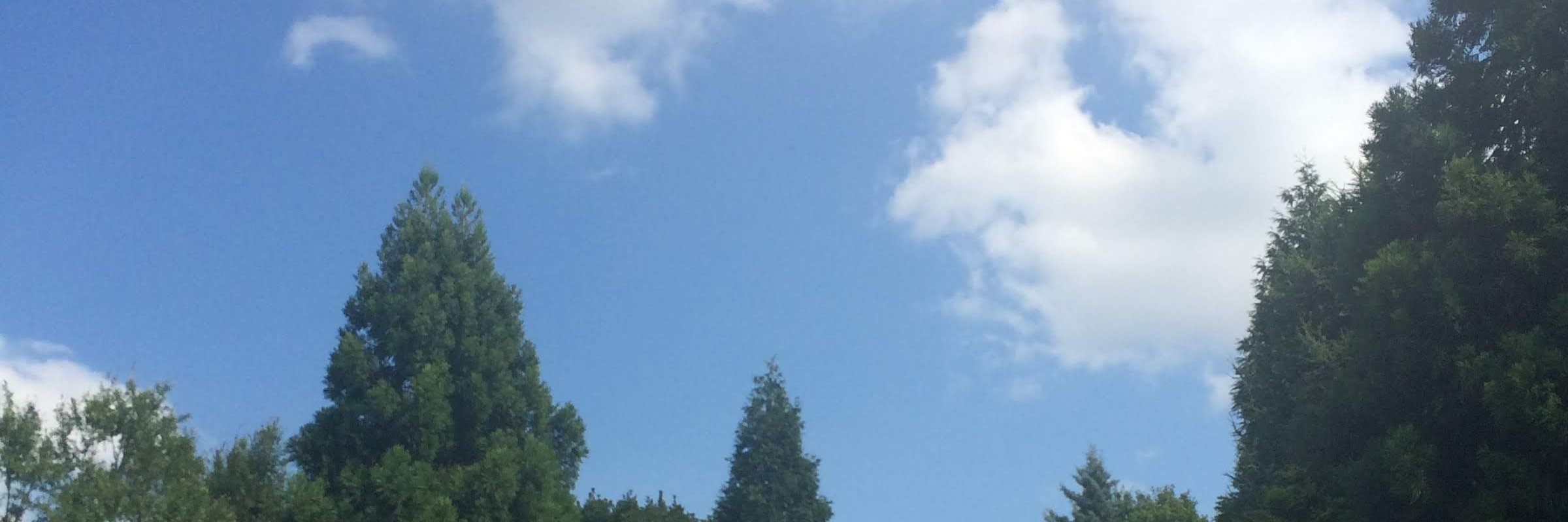 sdoubleu7 banner