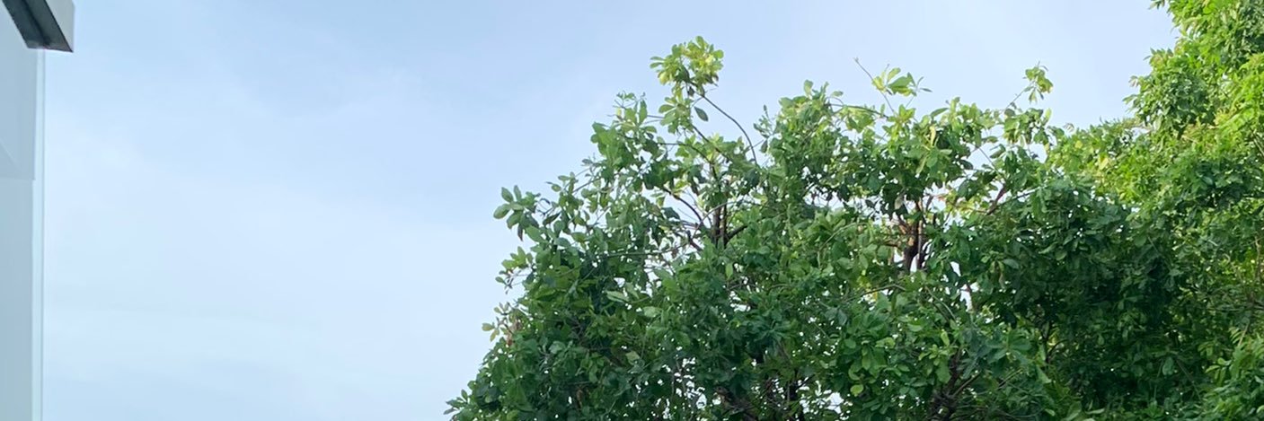 ( ^ω^ ) banner