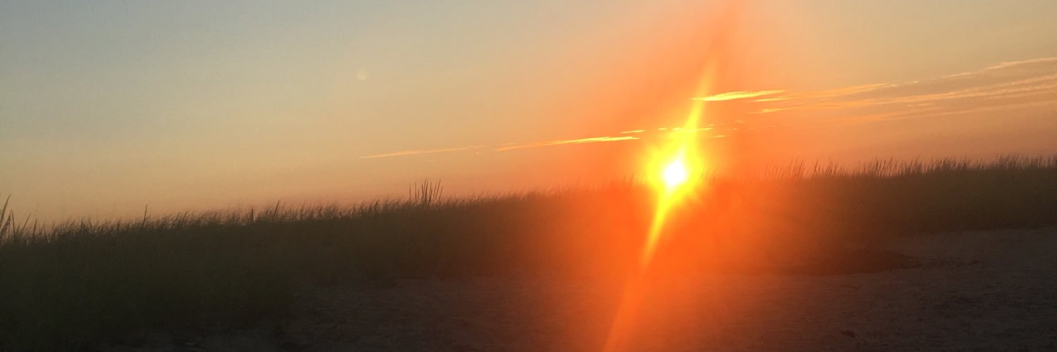 BoussyHannah's profile banner image