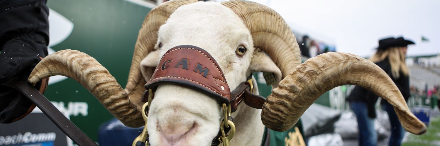 Rams Report banner