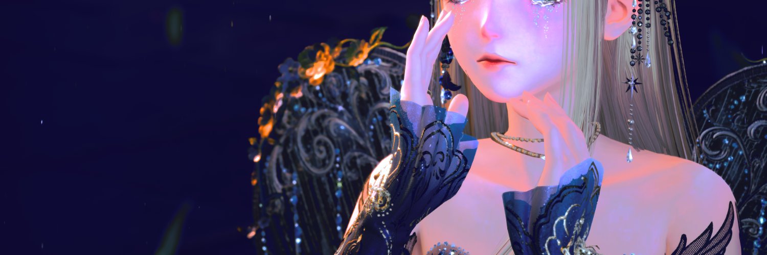 voidherrscher's profile banner image