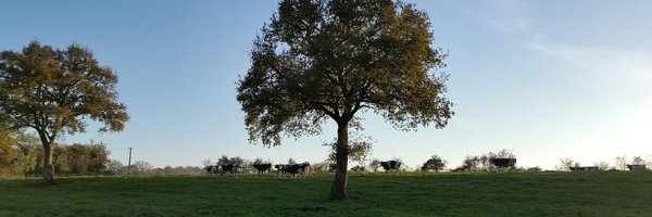 AgnesTEXIER Profile Banner