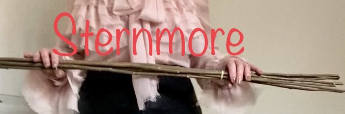 Miss Sternmore lifestyle maternal disciplinarian banner