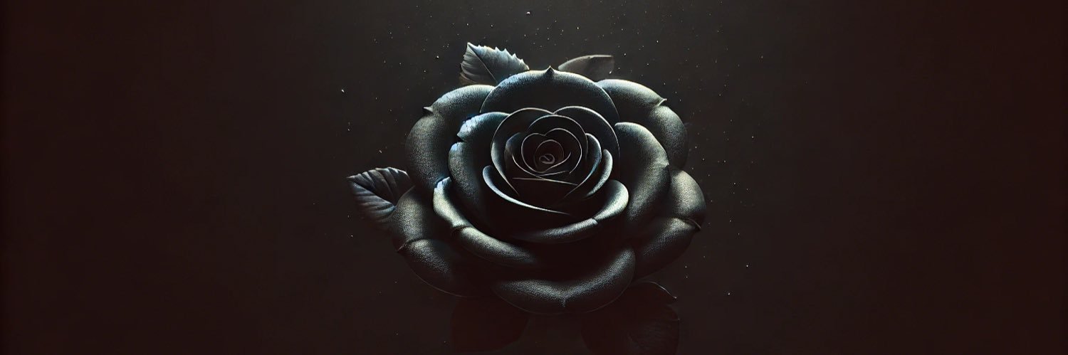 marvi 🇦🇱 banner