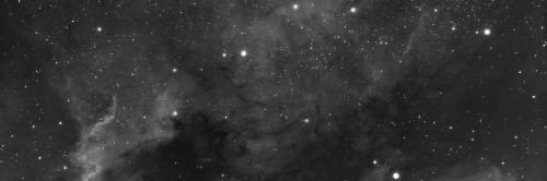 lupennini's profile banner image