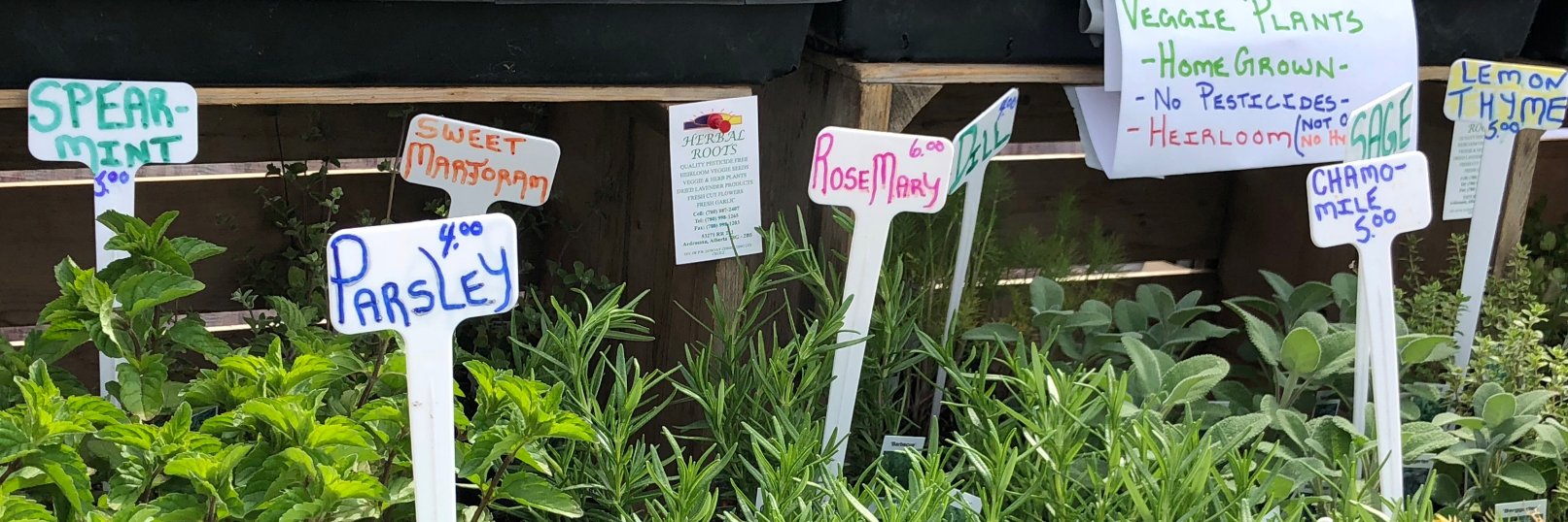 Baseline Farmers Market banner