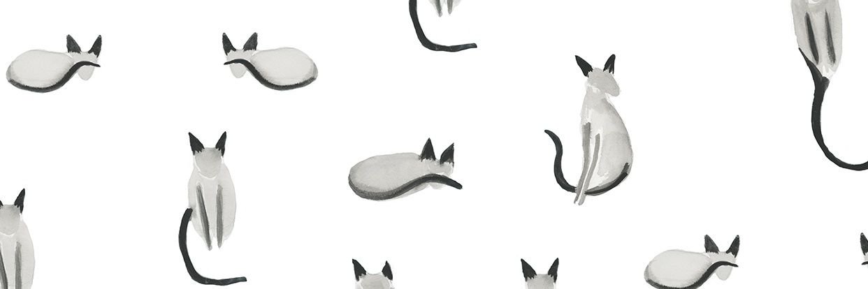 _lochness's profile banner image