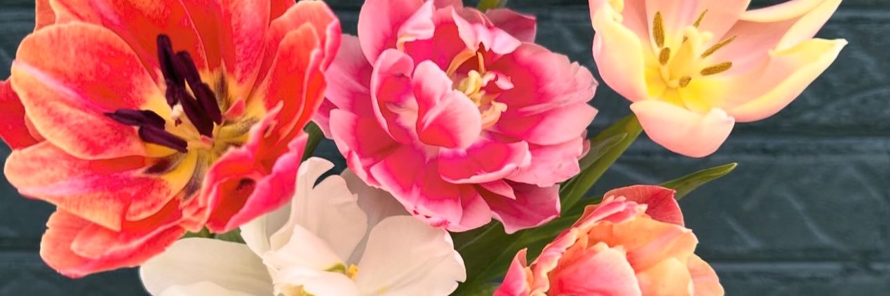 chelsrjackson's profile banner image