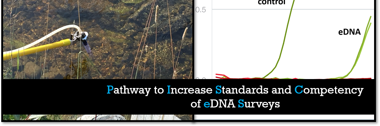 PISCeS eDNA Conference banner