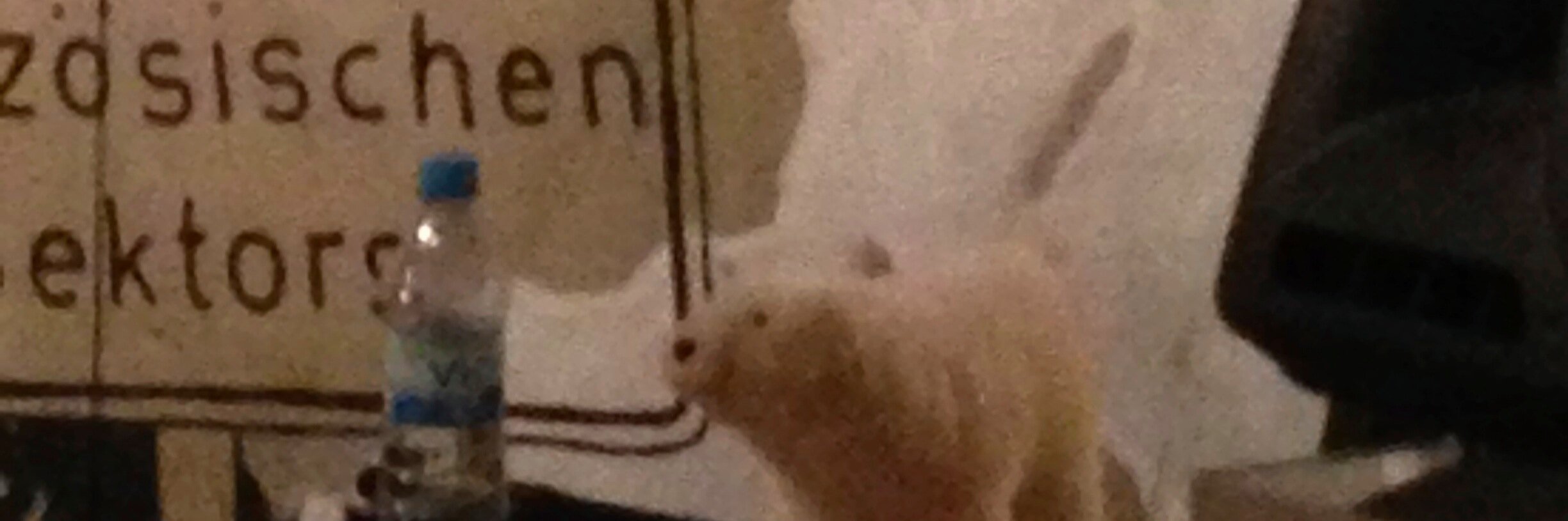 谷口マルタ正明's banner