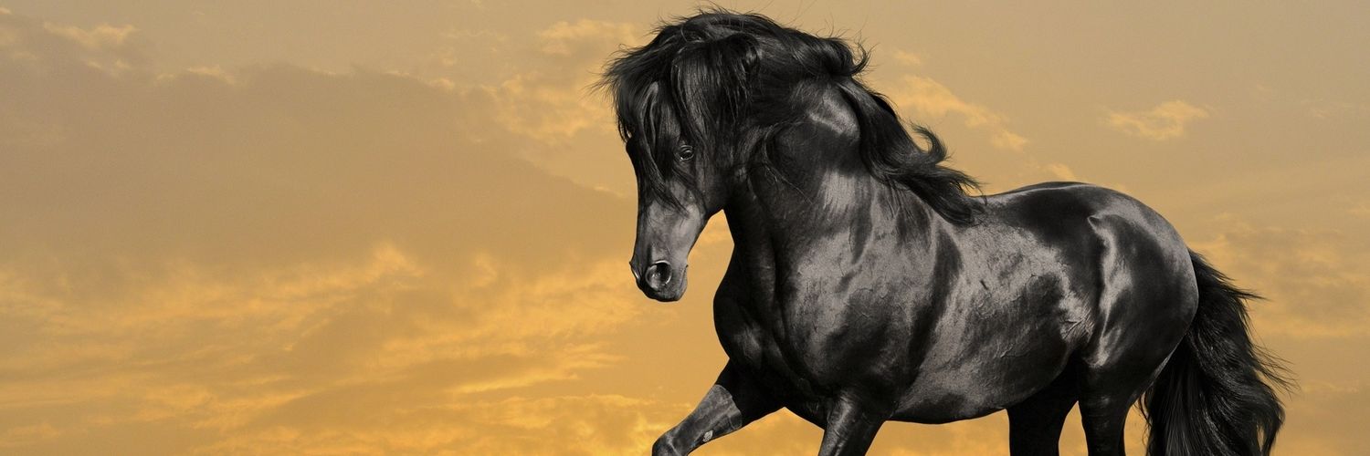 Ali33745658's profile banner image